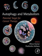 Autophagy and Metabolism: Potential Target for Cancer Therapy