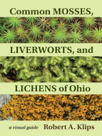 Common Mosses, Liverworts, and Lichens of Ohio: A Visual Guide