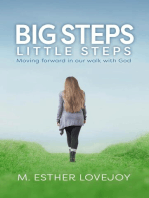 Big Steps, Little Steps