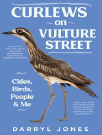 Curlews on Vulture Street