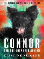 Connor and The Love Left Behind: The Leaning Dog Who Changed our Life