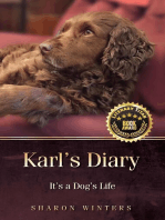 Karl's Diary