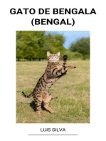 Gato de Bengala (Bengal)