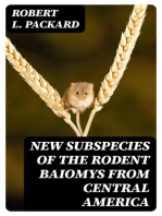 New Subspecies of the Rodent Baiomys from Central America: University of Kansas Publications, Museum of Natural History