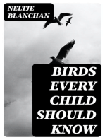 Birds Every Child Should Know