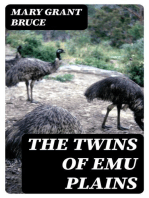 The Twins of Emu Plains