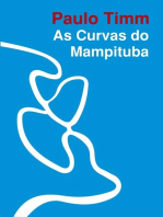 As Curvas Do Mampituba