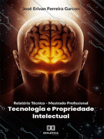 Relatório Técnico - Mestrado Profissional: Tecnologia e Propriedade Intelectual