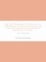 The 1979 Washington DC Hurrican is a Wild Climate Occurrence Producing with it Freezing Conditions Roaring Breeze and Reduced Clarity.