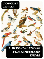 A Bird Calendar for Northern India