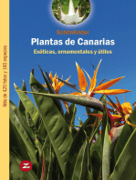 Plantas de Canarias: Exóticas, ornamentales y útiles