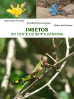 Insetos Do Oeste De Santa Catarina
