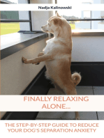 Finally relaxing alone...: The step-by-step guide to reduce your Dog's separation anxiety