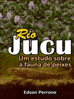 Rio Jucu