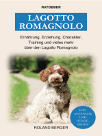 Lagotto Romagnolo: Ernährung, Erziehung, Charakter, Training und mehr über den Lagotto Romagnolo