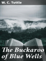 The Buckaroo of Blue Wells