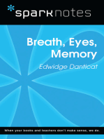 Breath, Eyes, Memory (SparkNotes Literature Guide)