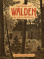 The Illustrated Walden: or, Life in the Woods