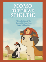 Momo the Brave Sheltie