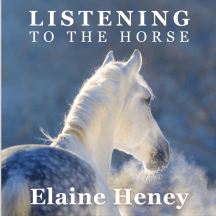 Listening to the Horse by Elaine Heney | Equine training, education, psychology, horsemanship, groundwork, riding & dressage for the equestrian. With horse care, health, ownership, knowledge, communication, mind, connection & behaviour information tips.