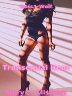 Transexual Heat: Mistress