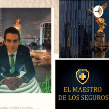 El Maestro De Los Seguros