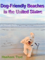 Dog-Friendly Beaches in the United States