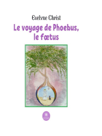 Le voyage de Phoebus, le fœtus