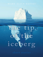 The Tip of the Iceberg: What lies beneath?