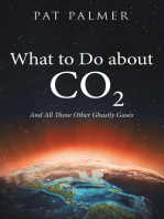 What to Do About Co2: And All Those Other Ghastly Gases