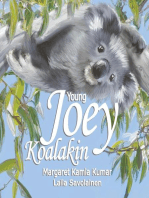 Young Joey Koalakin: A Fun Day