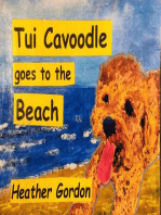 Tui Cavoodle goes to the Beach