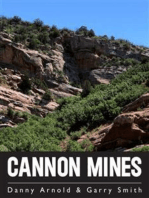 Cannon Mines