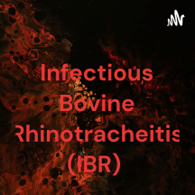 Infectious Bovine Rhinotracheitis (IBR)