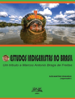 Estudos Indigenistas No Brasil: Um Tributo A Marcos Antonio Braga De Freitas