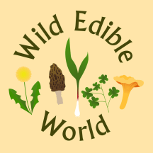 Wild Edible World: A Foraging Podcast