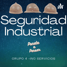 Seguridad Industrial - G4