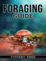 FORAGING GUIDE: Finding and Recognizing Local Wild Edible Plants and Mushrooms (2022 for Beginners)