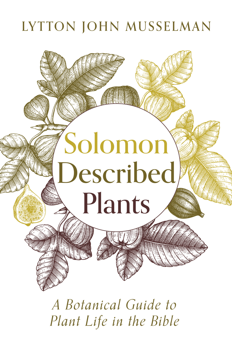 Solomon Described Plants by Lytton John Musselman photo picture