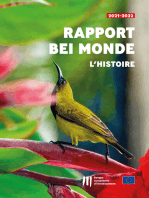 Rapport « BEI Monde – L'histoire »