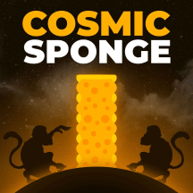 Cosmic Sponge