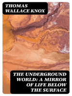 The Underground World