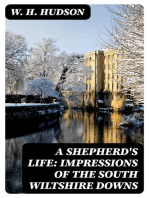 A Shepherd's Life