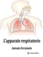 L'apparato respiratorio