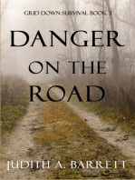 Danger on the Road