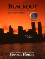 Blackout: The Erin O'Reilly Mysteries, #17
