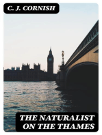 The Naturalist on the Thames