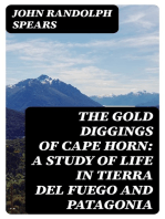 The Gold Diggings of Cape Horn