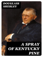 A Spray of Kentucky Pine