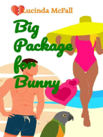 Big Package for Bunny